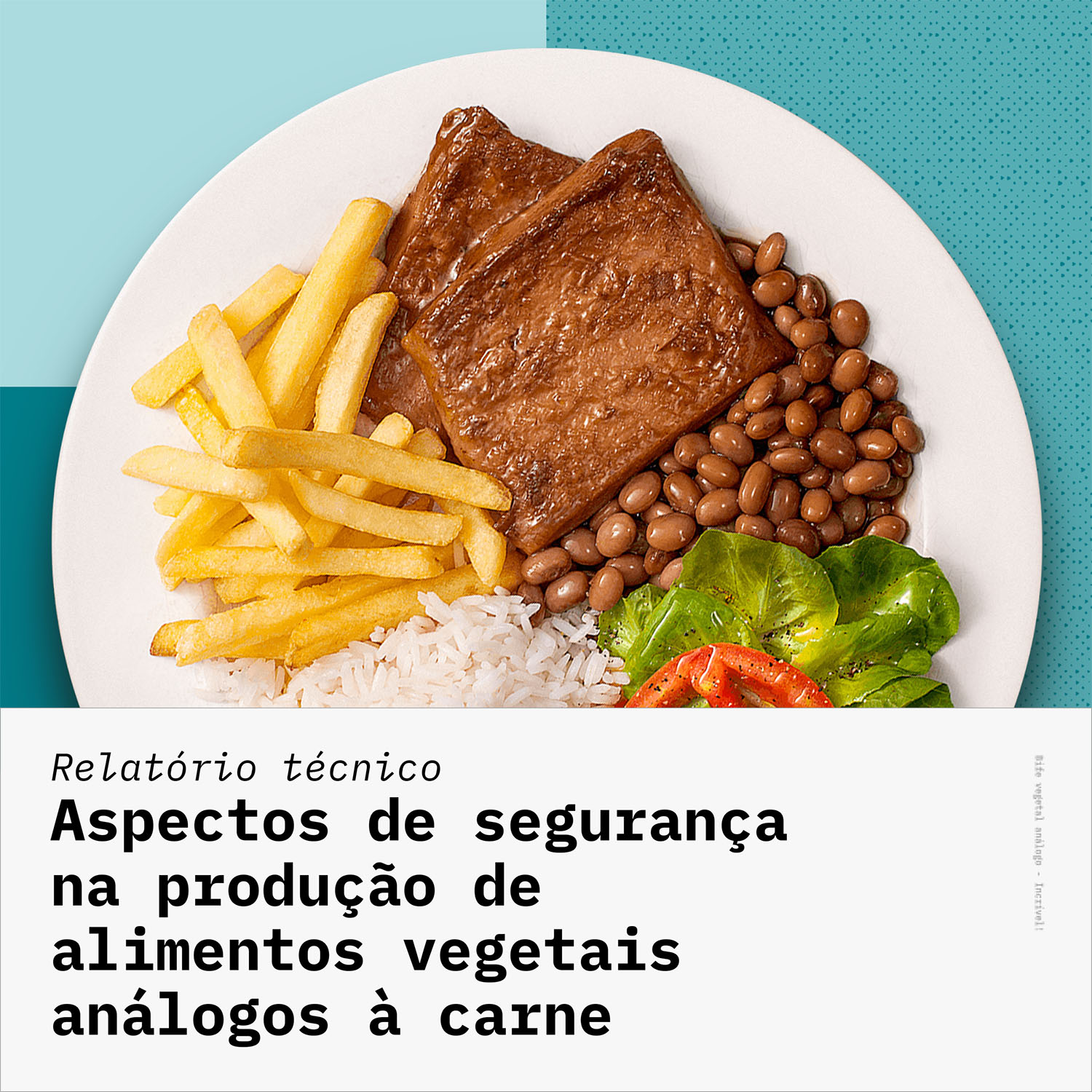 Relatório Técnico – Aspectos de segurança na produção de alimentos vegetais análogos à carne